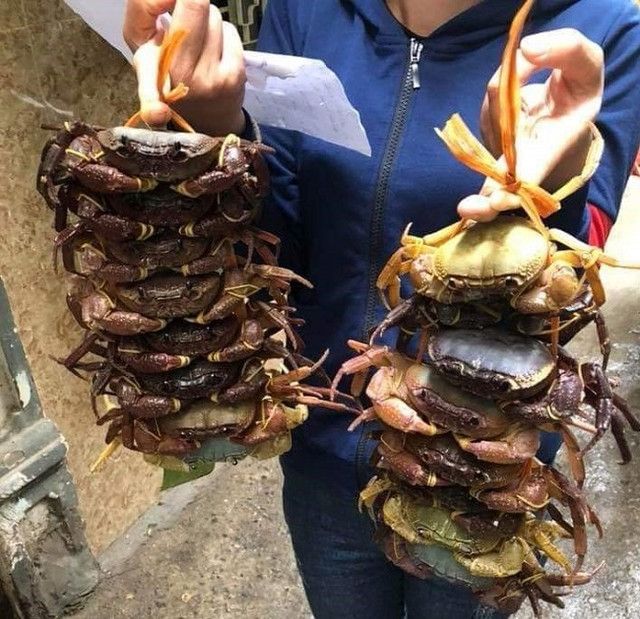 Đặc sản núi 'ngon hơn cua biển, rẻ hơn cua đồng', dân buôn hốt bạc Dac san nui 'ngon hon cua bien, re hon cua dong', dan buon hot bac