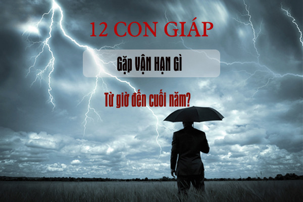 Vận hạn của 12 con giáp nửa cuối năm 2020 - Hình 3 Van han cua 12 con giap nua cuoi nam 2020-Hinh-3