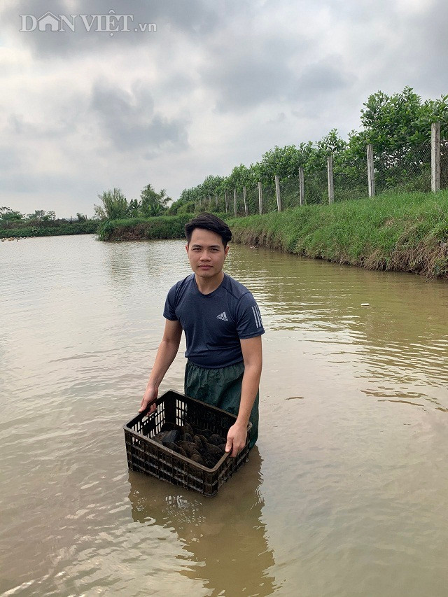 Trai đẹp Ninh Bình 'giấu' kho ngọc báu vật 2 tỷ đồng dưới ao - Hình 3 Trai dep Ninh Binh 'giau' kho ngoc bau vat 2 ty dong duoi ao-Hinh-3