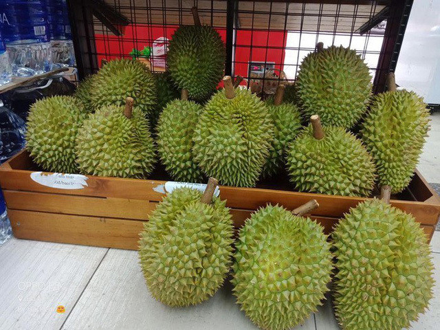 Nhận biết sầu riêng chín tự nhiên chỉ cần ấn vào cuống - Hình 2 Nhan biet sau rieng chin tu nhien chi can an vao cuong-Hinh-2