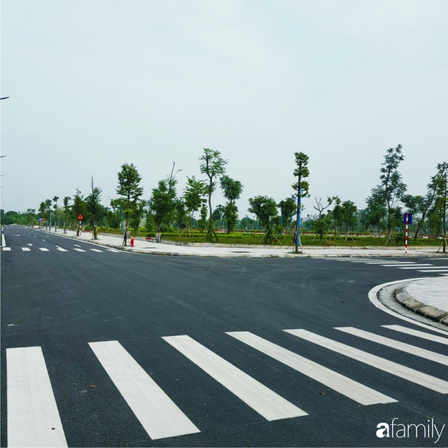 Có 200 triệu mua 50m² đất liền kề ở quê, 3 năm sau mua nhà thành phố - Hình 2 Co 200 trieu mua 50m² dat lien ke o que, 3 nam sau mua nha thanh pho-Hinh-2
