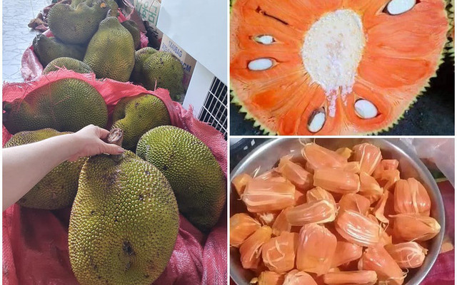 Mít ruột đỏ múi to dày, thơm ngọt 120.000 đồng/kg vẫn hút khách Mit ruot do mui to day, thom ngot 120.000 dong/kg van hut khach