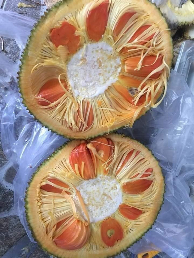Mít ruột đỏ múi to dày, thơm ngọt 120.000 đồng/kg vẫn hút khách - Hình 3 Mit ruot do mui to day, thom ngot 120.000 dong/kg van hut khach-Hinh-3