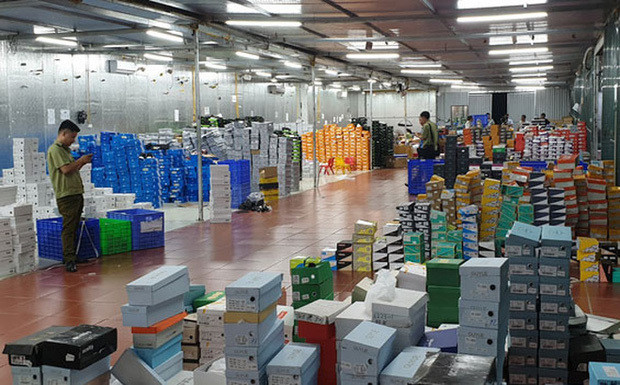 Dở khóc dở cười cà chua chuỗi ngọc biến hình thành rau đay - Hình 3 Do khoc do cuoi ca chua chuoi ngoc bien hinh thanh rau day-Hinh-3