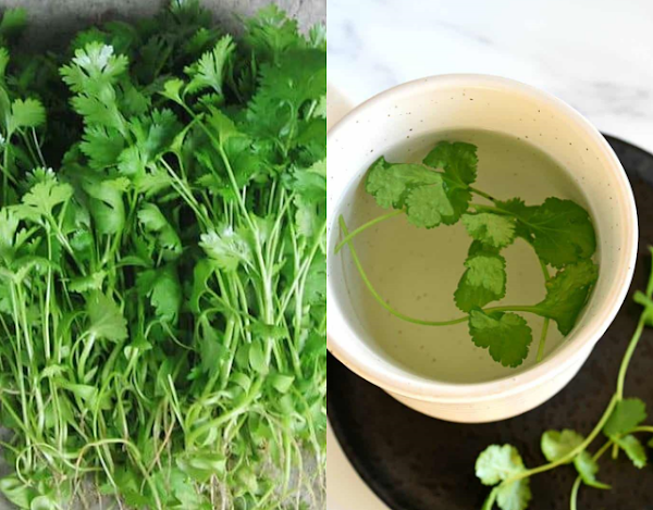 4 loại lá càng dùng cơ thể càng thơm ngát: Không cần nước hoa - Hình 3 4 loai la cang dung co the cang thom ngat: Khong can nuoc hoa-Hinh-3