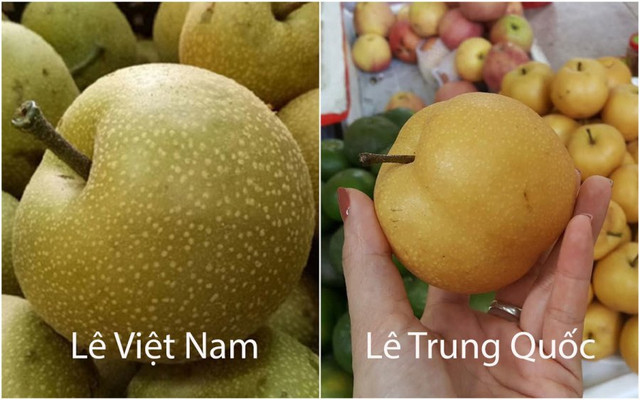 5 loại trái cây Trung Quốc đang được bán tràn lan ở chợ Việt - Hình 4 5 loai trai cay Trung Quoc dang duoc ban tran lan o cho Viet-Hinh-4
