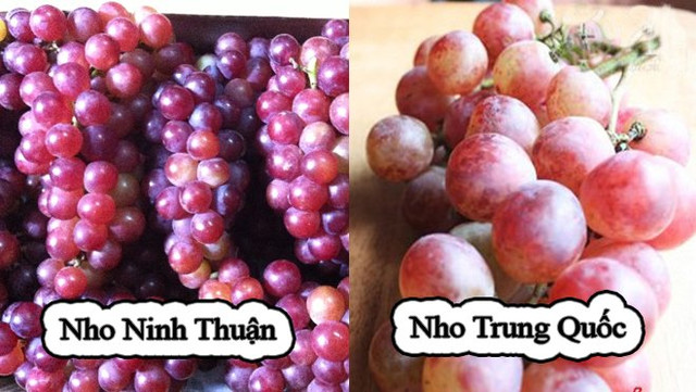 5 loại trái cây Trung Quốc đang được bán tràn lan ở chợ Việt - Hình 3 5 loai trai cay Trung Quoc dang duoc ban tran lan o cho Viet-Hinh-3