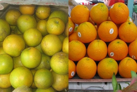 5 loại trái cây Trung Quốc đang được bán tràn lan ở chợ Việt - Hình 2 5 loai trai cay Trung Quoc dang duoc ban tran lan o cho Viet-Hinh-2