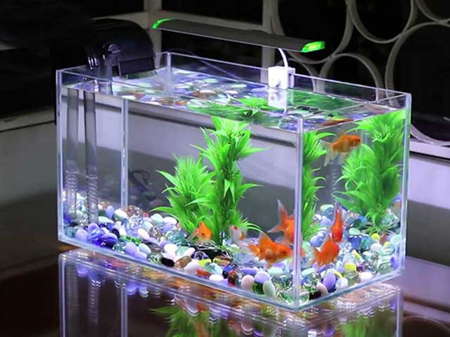 3 tháng cuối năm, nhớ thay đổi 5 thứ trong nhà để dọn đường đón tài lộc - Hình 2 3 thang cuoi nam, nho thay doi 5 thu trong nha de don duong don tai loc-Hinh-2