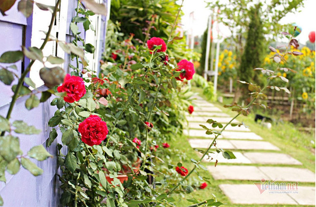 Phát hiện mối tình vụng trộm của vợ nhờ chi tiết nhỏ trên máy tính ảnh 1 Phát hiện mối tình vụng trộm của vợ nhờ chi tiết nhỏ trên máy tính ảnh 1