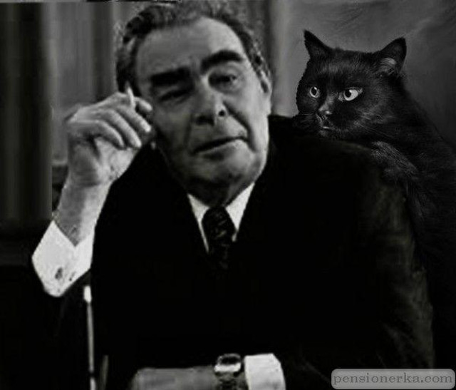 Nhà lãnh đạo Brezhnev được tặng một con mèo có khả năng dự cảm Nha lanh dao Brezhnev duoc tang mot con meo co kha nang du cam
