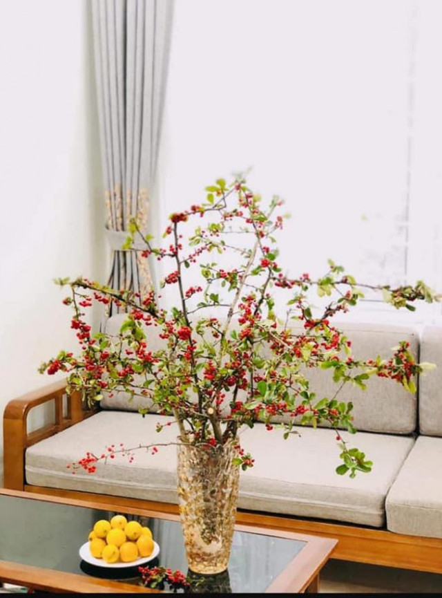 Rộ cơn sốt cắm cherry rừng, hàng về đến đâu hết đến đó - Hình 8 Ro con sot cam cherry rung, hang ve den dau het den do-Hinh-8