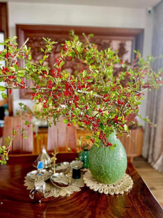Rộ cơn sốt cắm cherry rừng, hàng về đến đâu hết đến đó - Hình 7 Ro con sot cam cherry rung, hang ve den dau het den do-Hinh-7