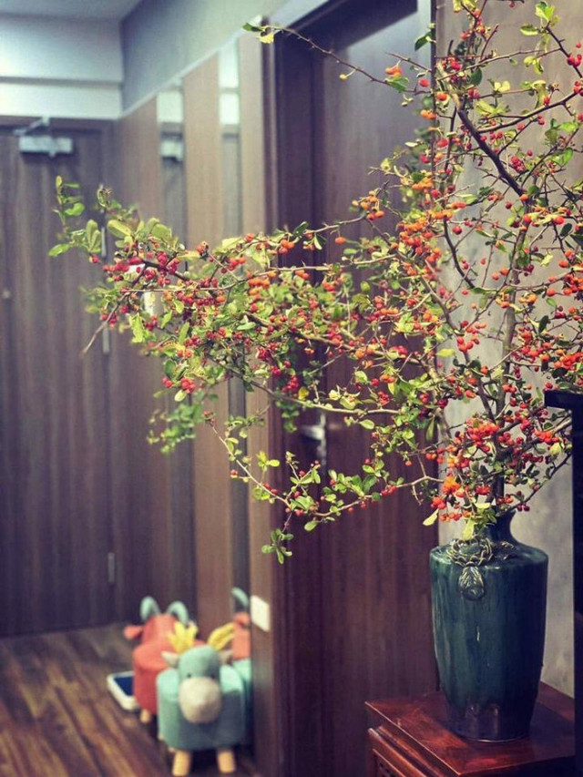 Rộ cơn sốt cắm cherry rừng, hàng về đến đâu hết đến đó - Hình 9 Ro con sot cam cherry rung, hang ve den dau het den do-Hinh-9