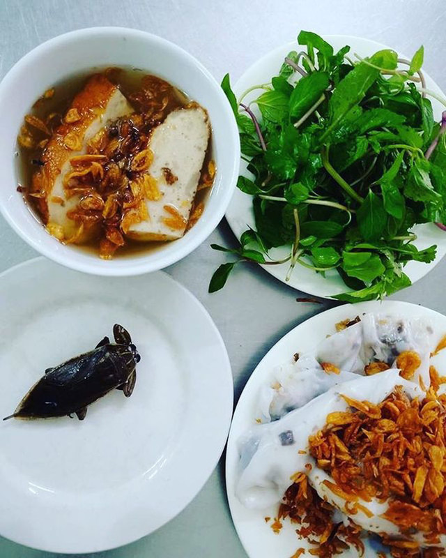 Loài nhìn ghê sợ nhưng là đặc sản hiếm có khó tìm ở Việt Nam - Hình 4 Loai nhin ghe so nhung la dac san hiem co kho tim o Viet Nam-Hinh-4