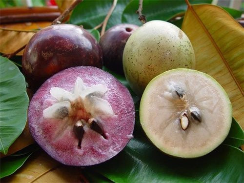 7 loại quả thuần Việt, không nhập từ Trung Quốc lại ít bị phun thuốc 7 loai qua thuan Viet, khong nhap tu Trung Quoc lai it bi phun thuoc