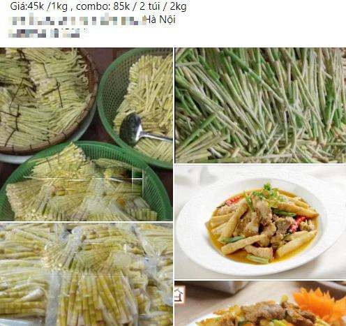 Đặc sản măng trúc Yên Tử vào mùa, các bà nội trợ thi nhau đặt mua - Hình 3 Dac san mang truc Yen Tu vao mua, cac ba noi tro thi nhau dat mua-Hinh-3
