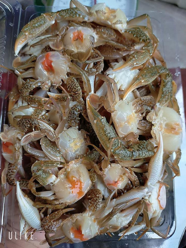 Ghẹ sữa tươi đắt khách - Hình 2 Ghe sua tuoi dat khach-Hinh-2