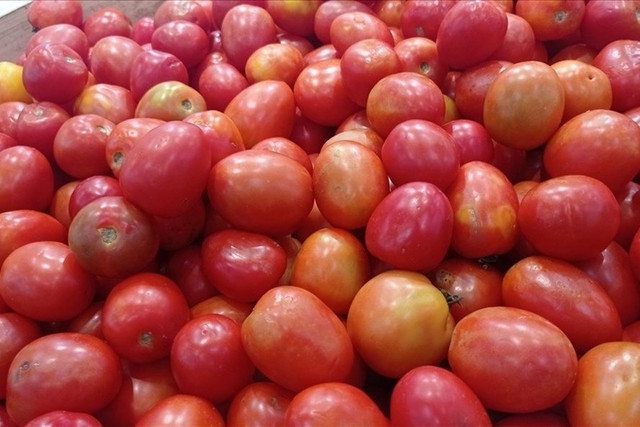 5 cách chọn mua cà chua đúng chuẩn tươi ngon, chín tự nhiên 5 cach chon mua ca chua dung chuan tuoi ngon, chin tu nhien