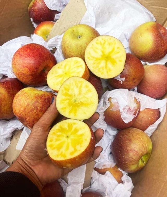 Quả táo cùng tên: Hàng Nhật 1,5 triệu/kg, đồ Tàu rẻ như rau - Hình 5 Qua tao cung ten: Hang Nhat 1,5 trieu/kg, do Tau re nhu rau-Hinh-5