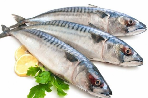 8 loại cá đại bổ giàu canxi và dinh dưỡng bậc nhất, vừa ngon vừa rẻ - Hình 5 8 loai ca dai bo giau canxi va dinh duong bac nhat, vua ngon vua re-Hinh-5