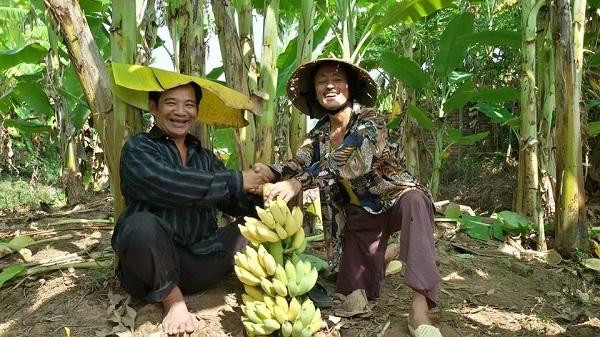 3 cặp bài trùng của sân khấu Việt giờ đều lẻ bóng xót xa - Hình 8 3 cap bai trung cua san khau Viet gio deu le bong xot xa-Hinh-8