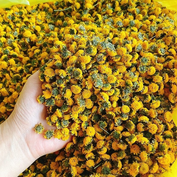 Loại hoa tiến vua có giá nửa triệu đồng/kg, dân thi nhau ra đồng hái - Hình 7 Loai hoa tien vua co gia nua trieu dong/kg, dan thi nhau ra dong hai-Hinh-7
