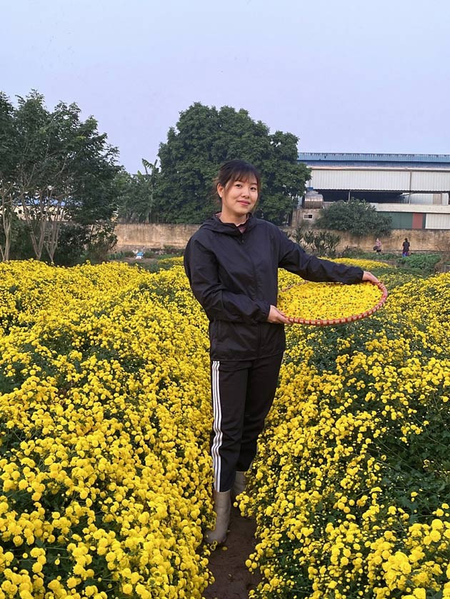 Loại hoa tiến vua có giá nửa triệu đồng/kg, dân thi nhau ra đồng hái - Hình 6 Loai hoa tien vua co gia nua trieu dong/kg, dan thi nhau ra dong hai-Hinh-6