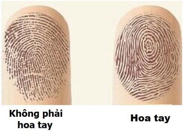 Nhìn số hoa tay 1 giây biết tương lai bạn giàu sang hay nghèo khó Nhin so hoa tay 1 giay biet tuong lai ban giau sang hay ngheo kho