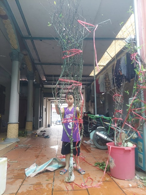 Đào rừng nở sớm đổ bộ Thủ đô, giá cả triệu đồng/cành vẫn cháy hàng - Hình 2 Dao rung no som do bo Thu do, gia ca trieu dong/canh van chay hang-Hinh-2