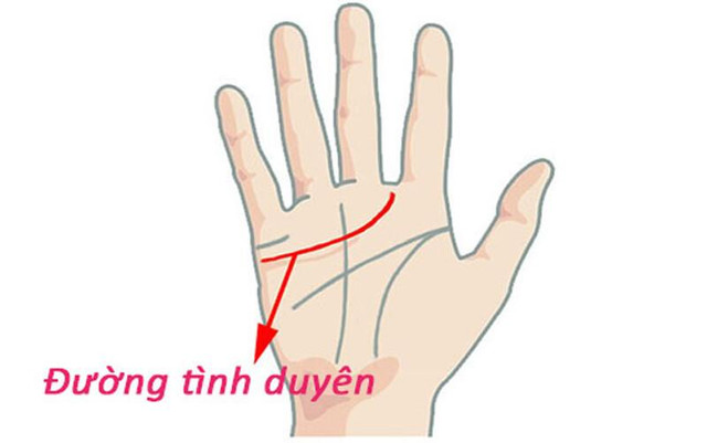 5 nét tướng phụ nữ nhờ chồng, an tâm ngồi không hưởng phúc 5 net tuong phu nu nho chong, an tam ngoi khong huong phuc