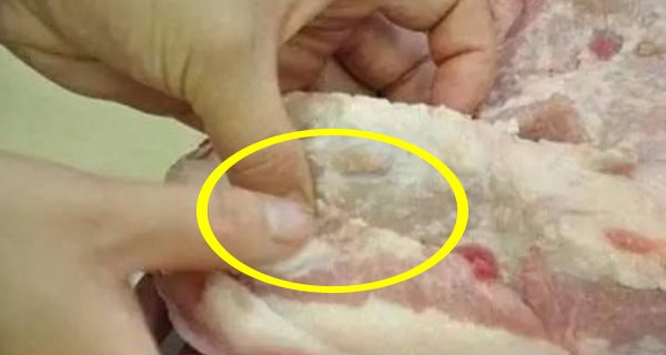 3 bộ phận của con lợn cần tránh xa vì chứa đầy chất độc 3 bo phan cua con lon can tranh xa vi chua day chat doc