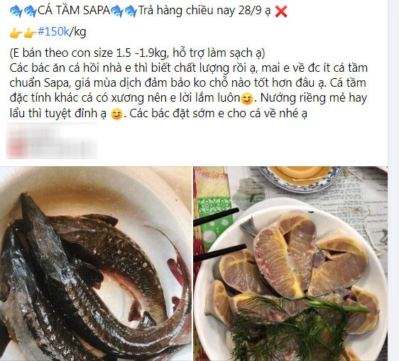 Loại cá đặc sản bán chợ mạng giá siêu rẻ, người dân tranh thủ ăn sang - Hình 4 Loai ca dac san ban cho mang gia sieu re, nguoi dan tranh thu an sang-Hinh-4