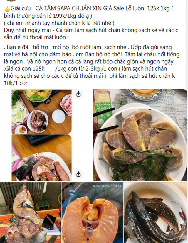 Loại cá đặc sản bán chợ mạng giá siêu rẻ, người dân tranh thủ ăn sang - Hình 3 Loai ca dac san ban cho mang gia sieu re, nguoi dan tranh thu an sang-Hinh-3
