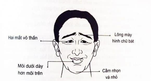 Đàn ông có 3 nét tướng này cả đời chẳng bao giờ làm được việc lớn - Hình 2 Dan ong co 3 net tuong nay ca doi chang bao gio lam duoc viec lon-Hinh-2