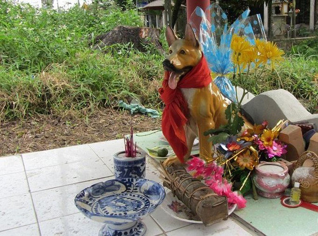 Ly kỳ xung quanh việc thờ “Thiên cẩu” tại ngôi miếu thiêng xứ Huế Ly ky xung quanh viec tho “Thien cau” tai ngoi mieu thieng xu Hue