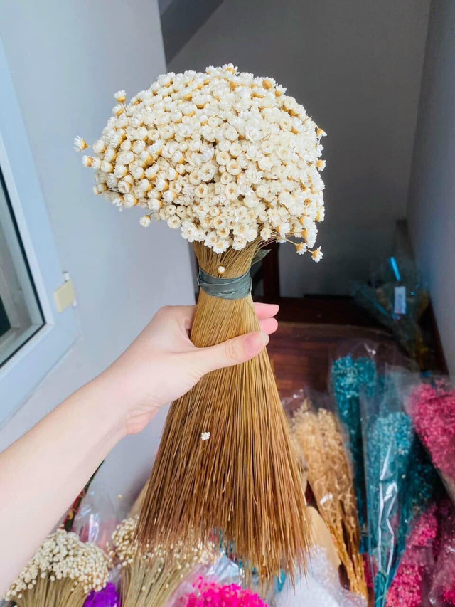 Cúc Glixia đẹp tinh khôi, chị em thi nhau lùng mua làm "cháy" chợ mạng - Hình 6 Cuc Glixia dep tinh khoi, chi em thi nhau lung mua lam