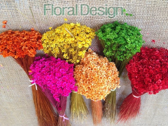 Cúc Glixia đẹp tinh khôi, chị em thi nhau lùng mua làm "cháy" chợ mạng - Hình 4 Cuc Glixia dep tinh khoi, chi em thi nhau lung mua lam