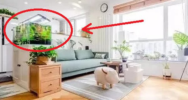Nhà chật hẹp đến mấy cũng nên có món đồ này, vừa hút lộc lại chiêu tài Nha chat hep den may cung nen co mon do nay, vua hut loc lai chieu tai