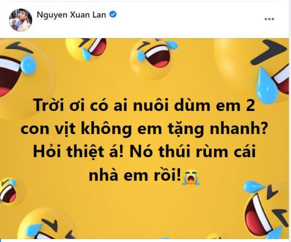 Xuân Lan ám ảnh vì mùi thối khi chồng nuôi vịt trong căn hộ - Hình 3 Xuan Lan am anh vi mui thoi khi chong nuoi vit trong can ho-Hinh-3