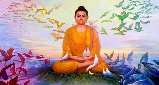 Vô sinh có 3 quan hệ nhân quả, đừng vì thiếu hiểu biết mà phải gánh nghiệp - Hình 2 Vo sinh co 3 quan he nhan qua, dung vi thieu hieu biet ma phai ganh nghiep-Hinh-2
