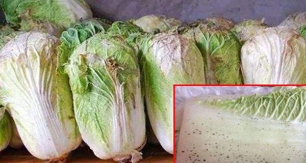 Đi chợ, đừng ham rẻ mà mua 3 loại rau này vì chứa đầy chất độc Di cho, dung ham re ma mua 3 loai rau nay vi chua day chat doc