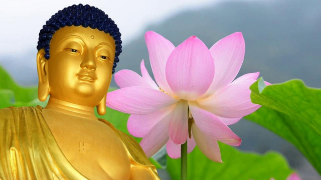 Những khai thị về nhân quả báo ứng giúp bạn hết khổ mỗi ngày - Hình 2 Nhung khai thi ve nhan qua bao ung giup ban het kho moi ngay-Hinh-2