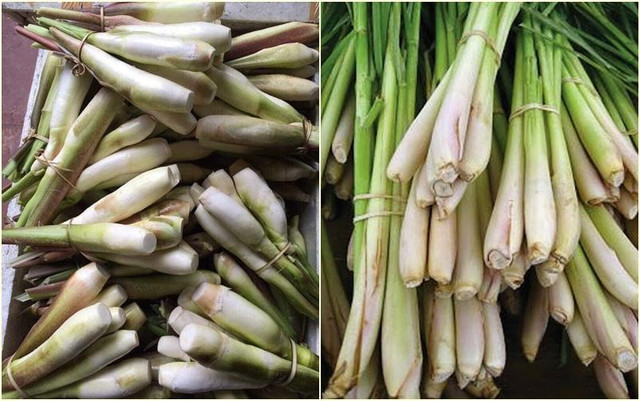 Mẹ chồng bảo đi mua sả, nàng dâu mang gì về mà bị mắng té tát? - Hình 3 Me chong bao di mua sa, nang dau mang gi ve ma bi mang te tat?-Hinh-3