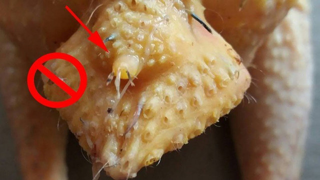Bộ phận nào mới là ngon nhất trong con gà - Hình 2 Bo phan nao moi la ngon nhat trong con ga-Hinh-2