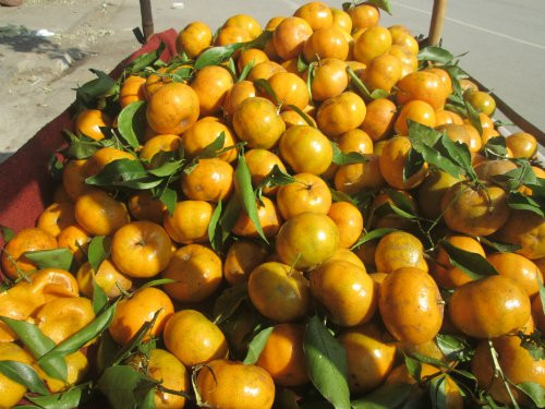 7 loại trái cây bán đầy chợ dễ bị ngâm ủ hóa chất - Hình 5 7 loai trai cay ban day cho de bi ngam u hoa chat-Hinh-5