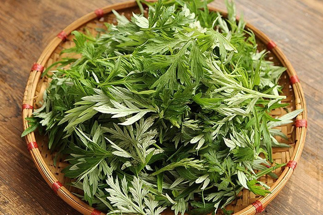 Loại rau cực tốt cho xương khớp, chữa đau đầu mùa lạnh - Hình 2 Loai rau cuc tot cho xuong khop, chua dau dau mua lanh-Hinh-2