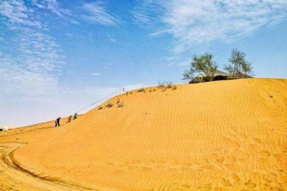 Tại sao cát ở sa mạc không thể dùng để xây nhà? - Hình 5 Tai sao cat o sa mac khong the dung de xay nha?-Hinh-5