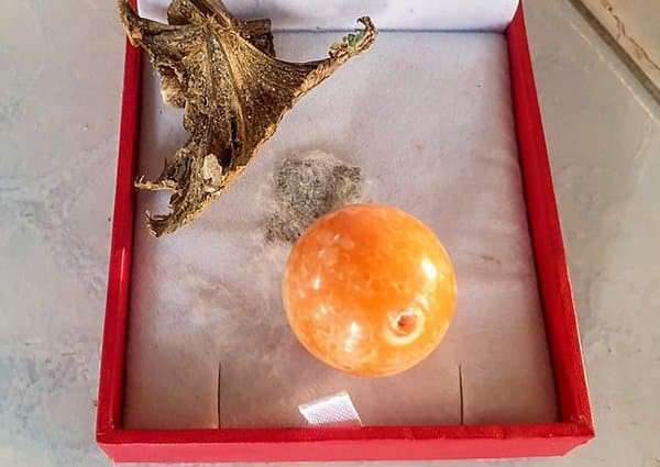 Báu vật Việt Nam gần như độc quyền: Một viên đổi được vài căn chung cư! Bau vat Viet Nam gan nhu doc quyen: Mot vien doi duoc vai can chung cu!