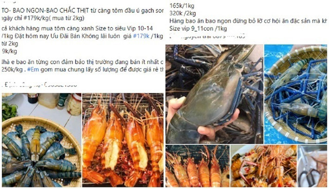 Táo Nhật giá 1,5 triệu/kg, bưởi Việt Nam giá 9.000 đồng/quả - Hình 2 Tao Nhat gia 1,5 trieu/kg, buoi Viet Nam gia 9.000 dong/qua-Hinh-2